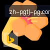 PG模拟器 logo